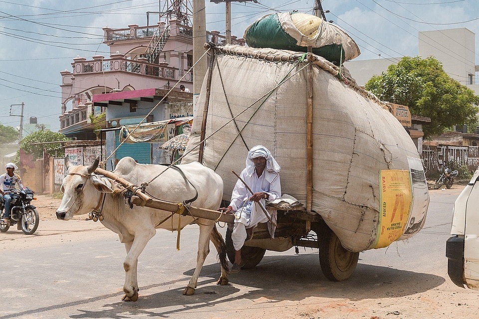 Hochbeladener einachsiger Wagen, der von einem Ochsen gezogen wird, in südländischer Straßenszene